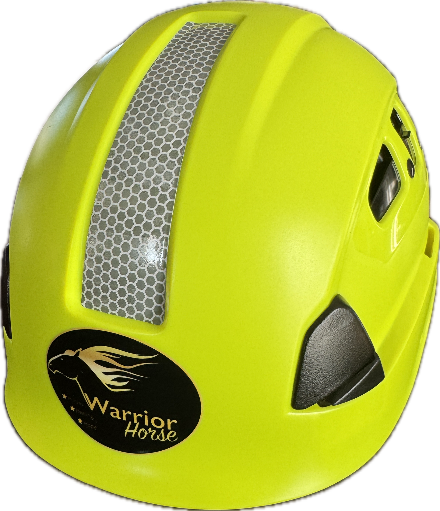 Warrior Horse Helmet